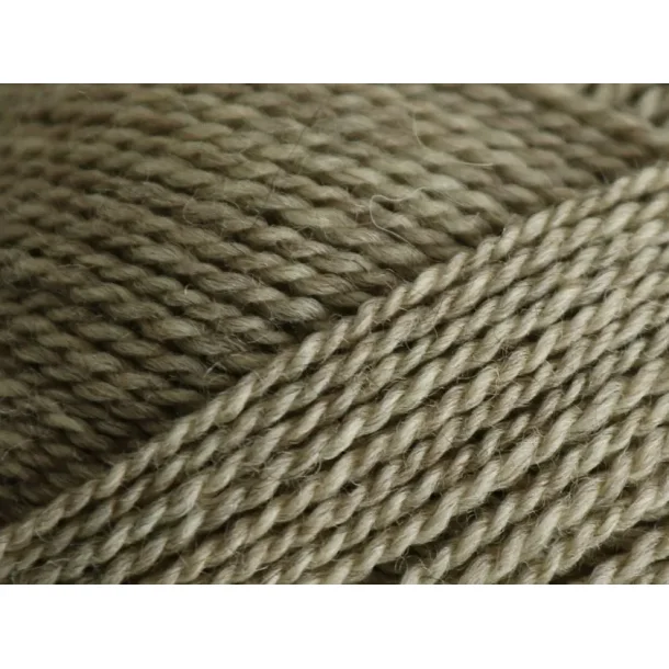 Mashdale Wheat 
